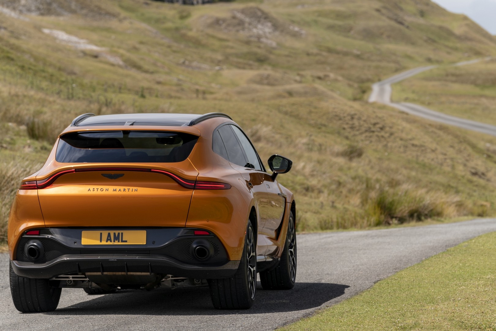 Aston Martin Dbx photo 116