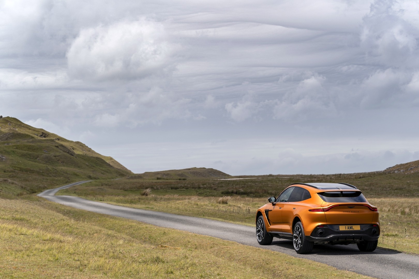 Aston Martin Dbx photo 119