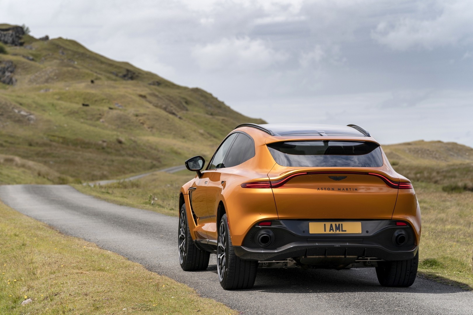 Aston Martin Dbx photo 120