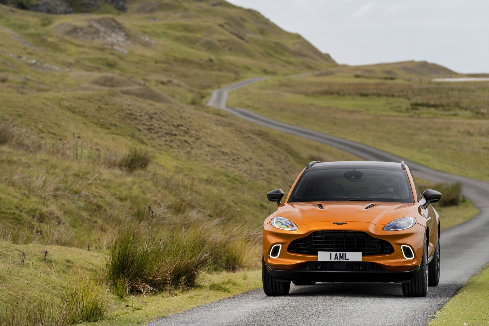 Aston Martin Dbx photo 121