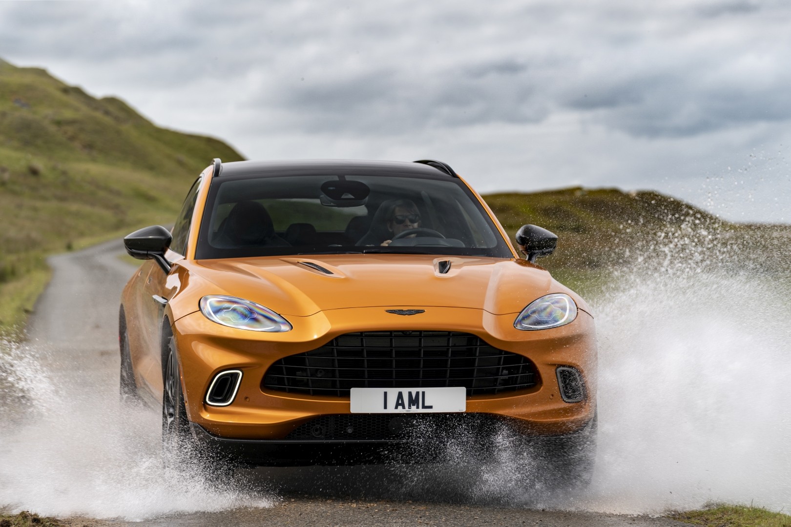 Aston Martin Dbx photo 122