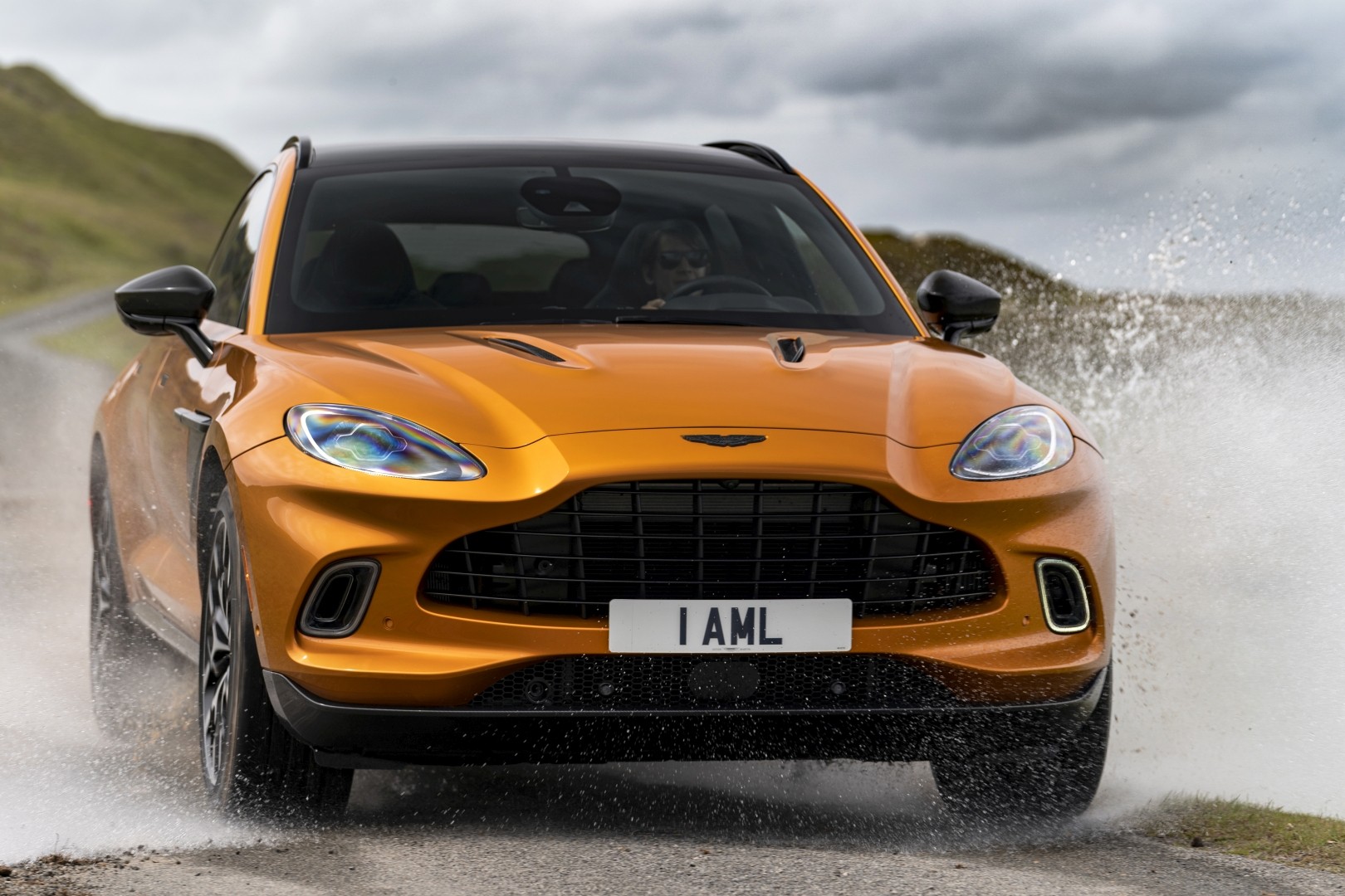 Aston Martin Dbx photo 123