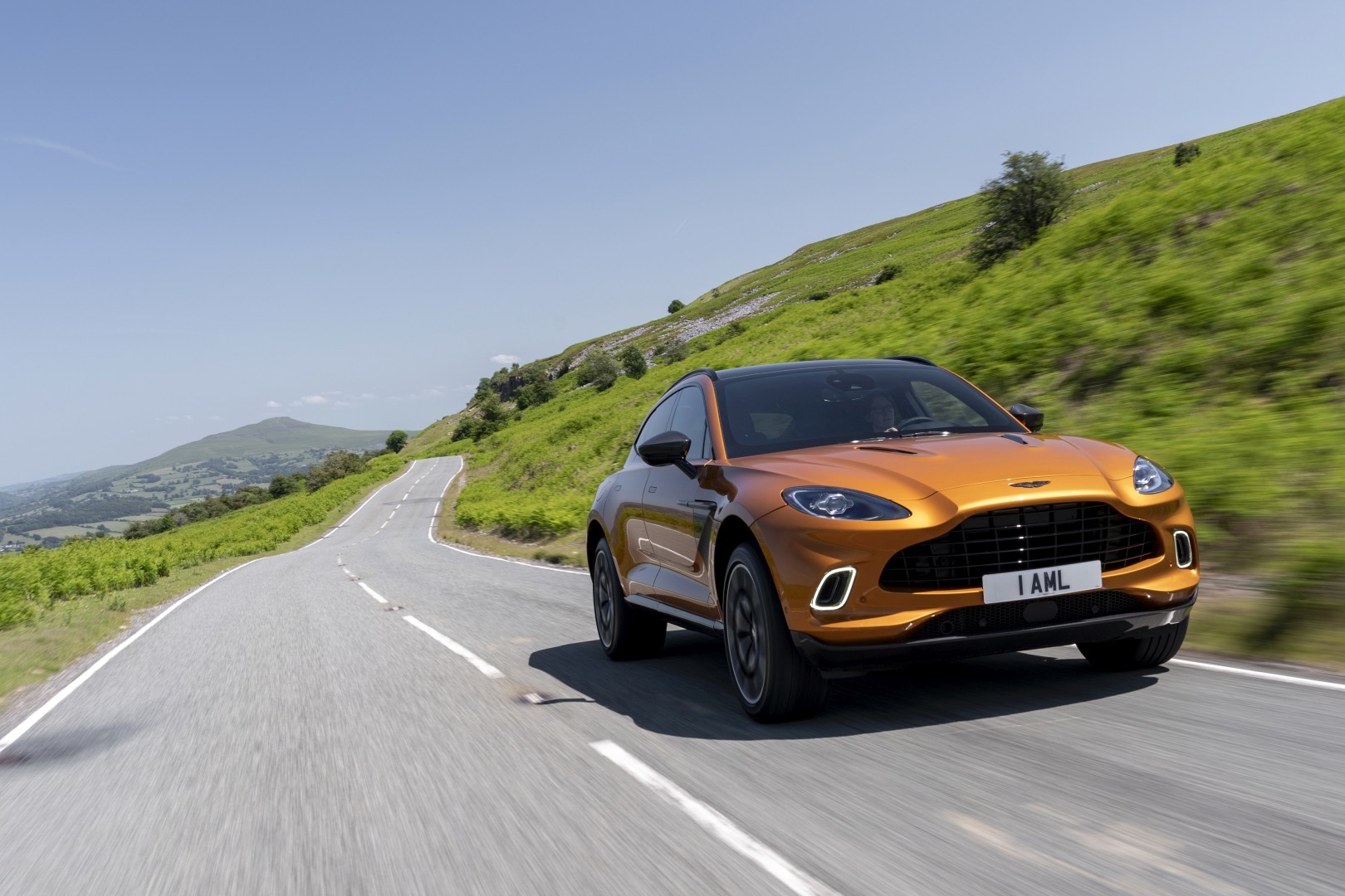 Aston Martin Dbx photo 127
