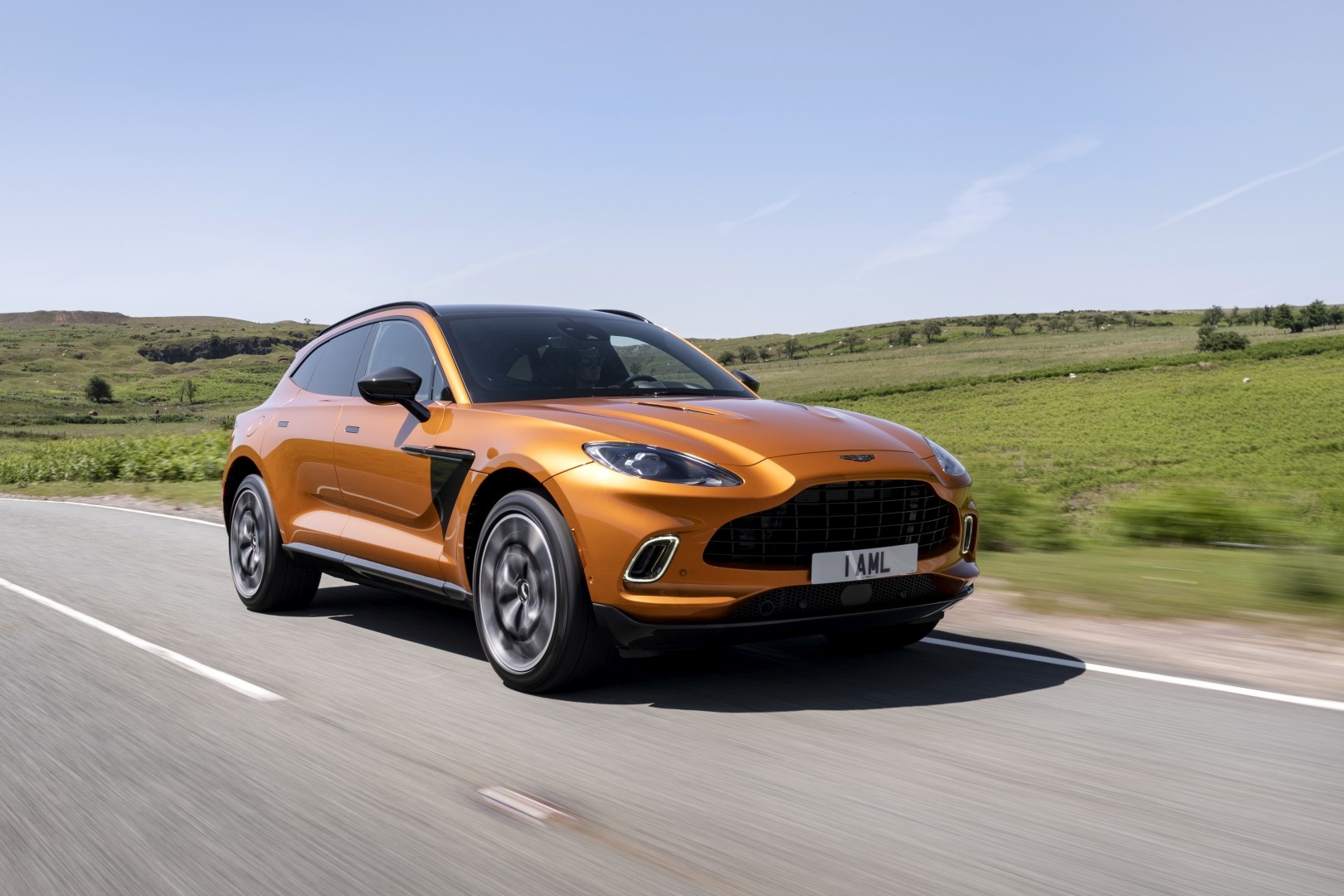 Aston Martin Dbx photo 129