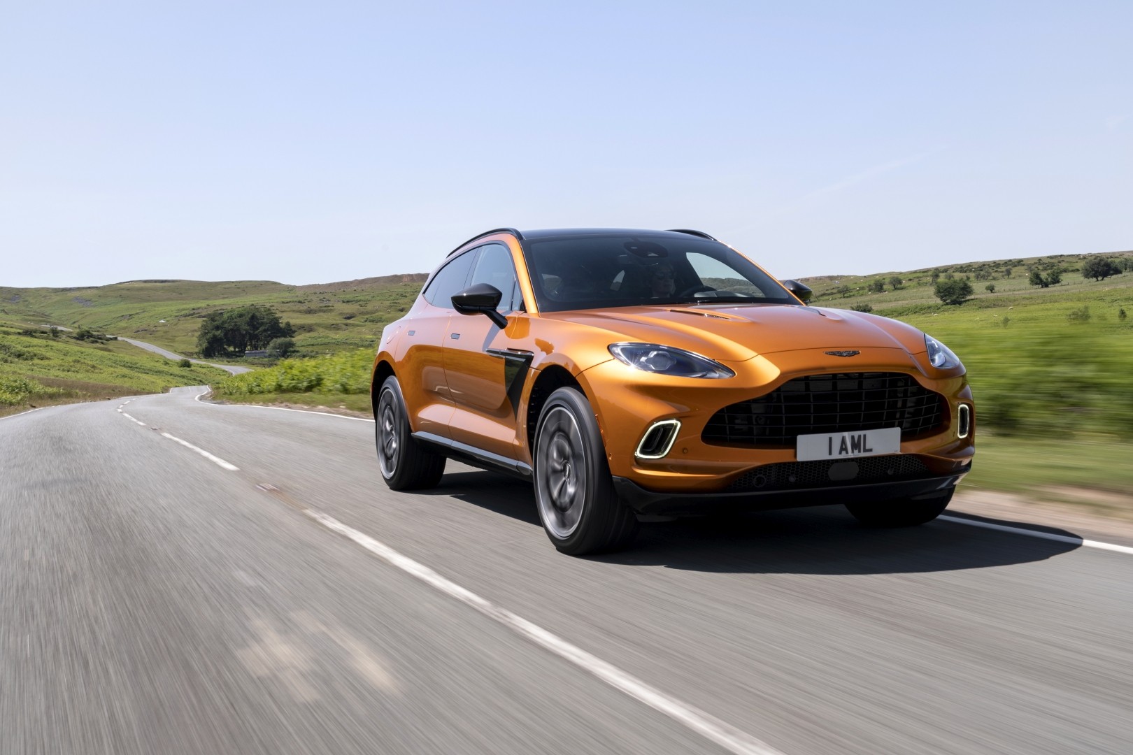 Aston Martin Dbx photo 130