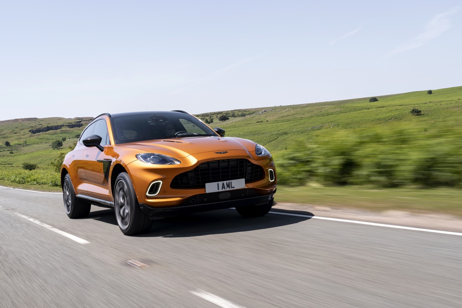 Aston Martin Dbx photo 132