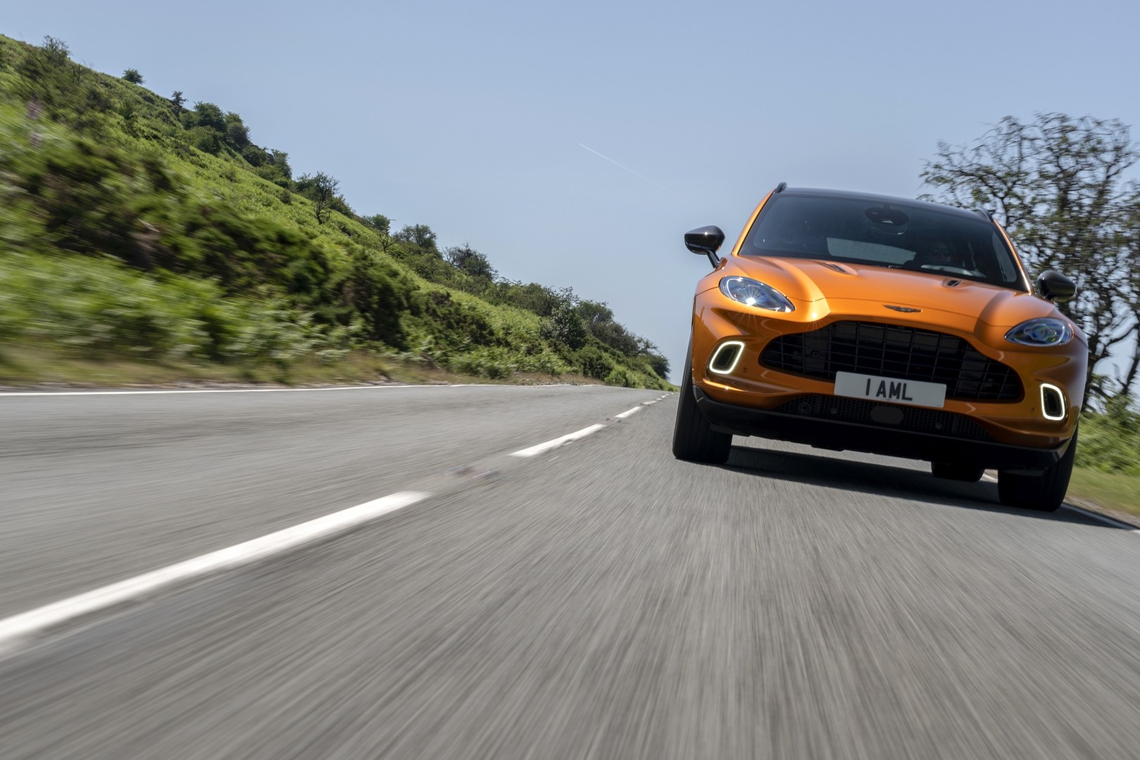 Aston Martin Dbx photo 139