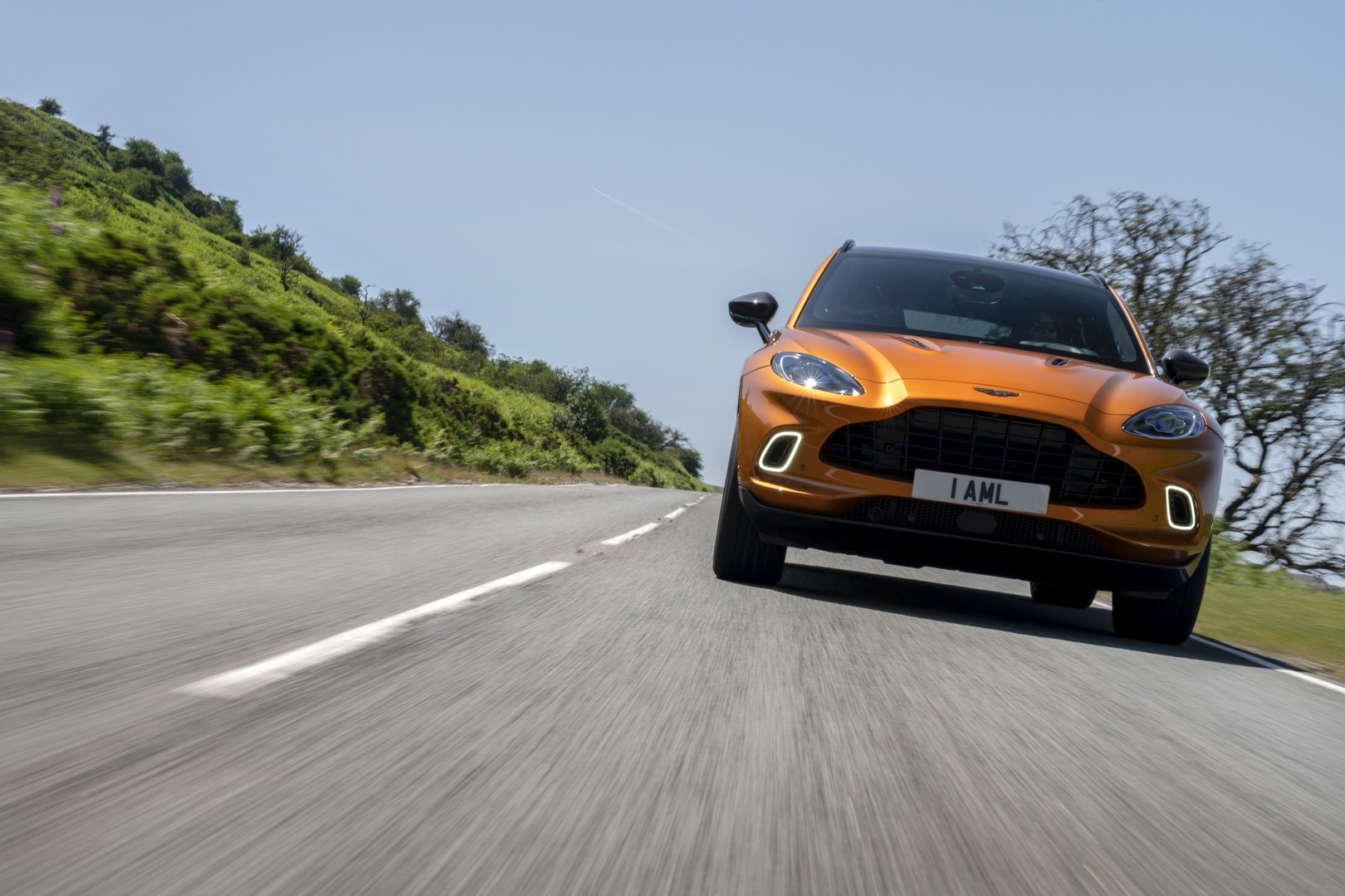 Aston Martin Dbx photo 140