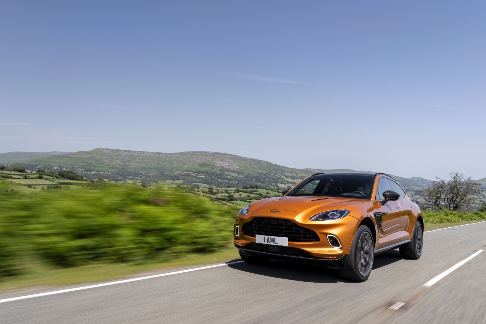 Aston Martin Dbx photo 141