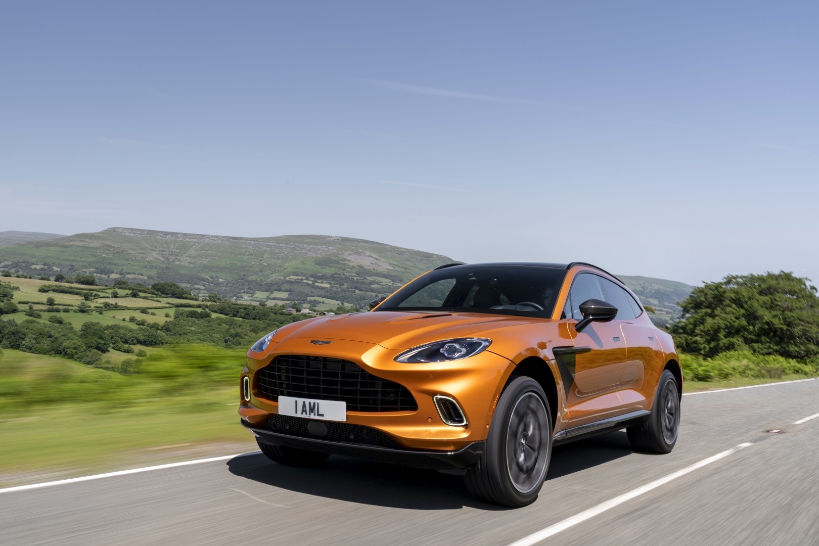 Aston Martin Dbx photo 142