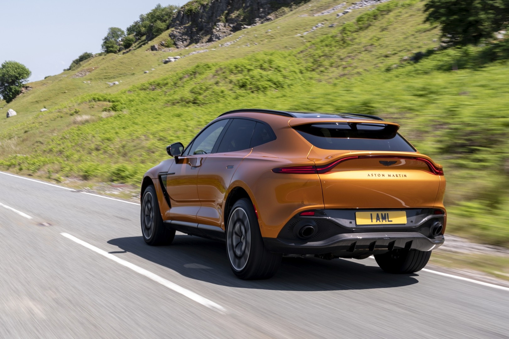 Aston Martin Dbx photo 144