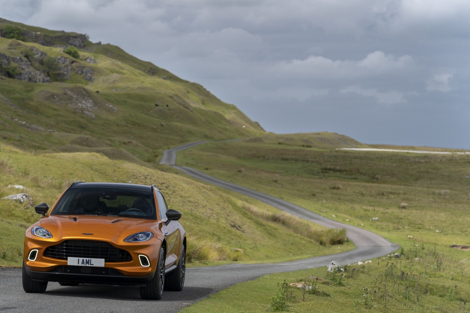 Aston Martin Dbx photo 154