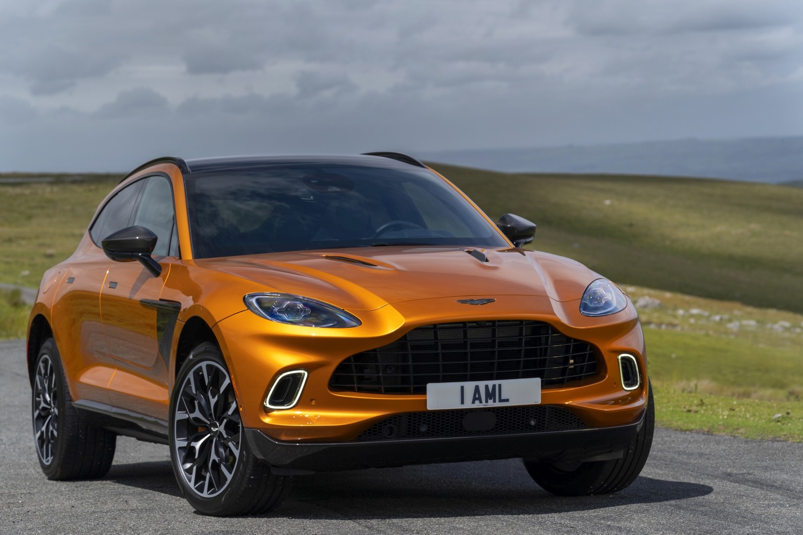 Aston Martin Dbx photo 159