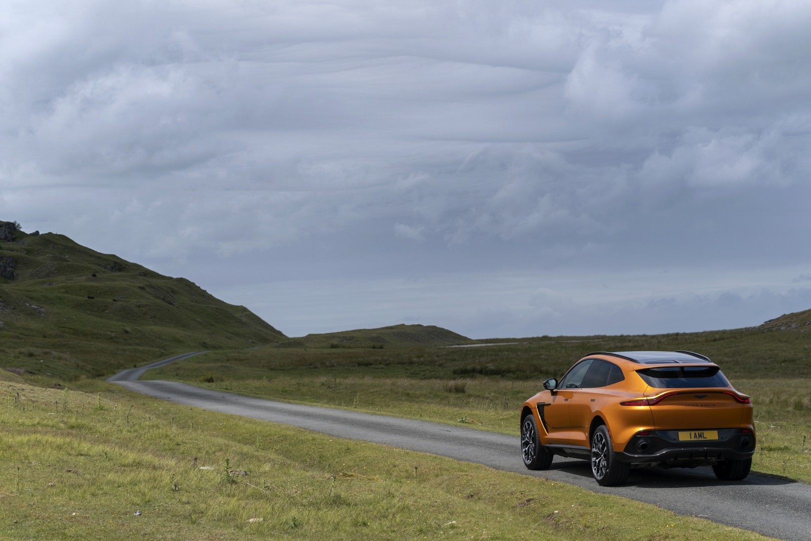Aston Martin Dbx photo 160