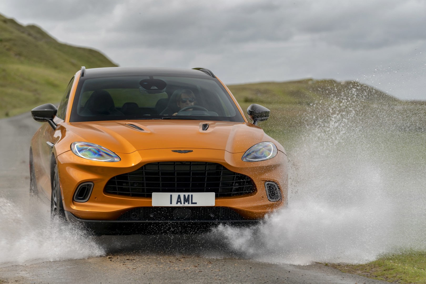Aston Martin Dbx photo 161