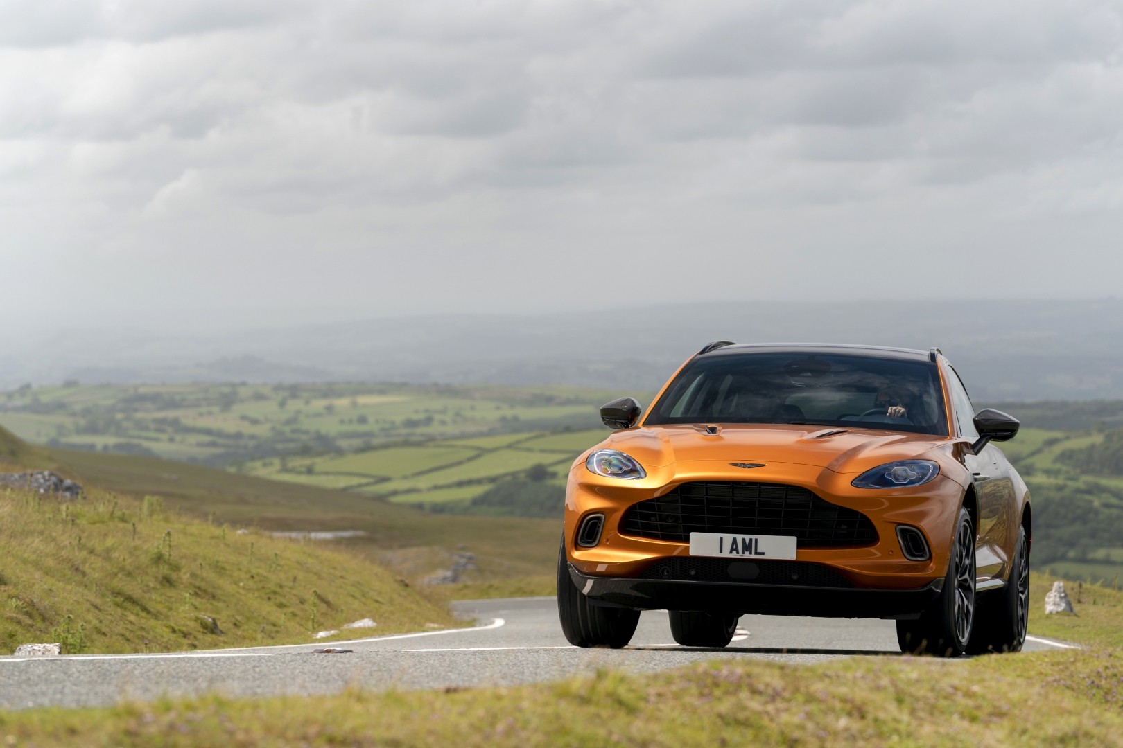 Aston Martin Dbx photo 169