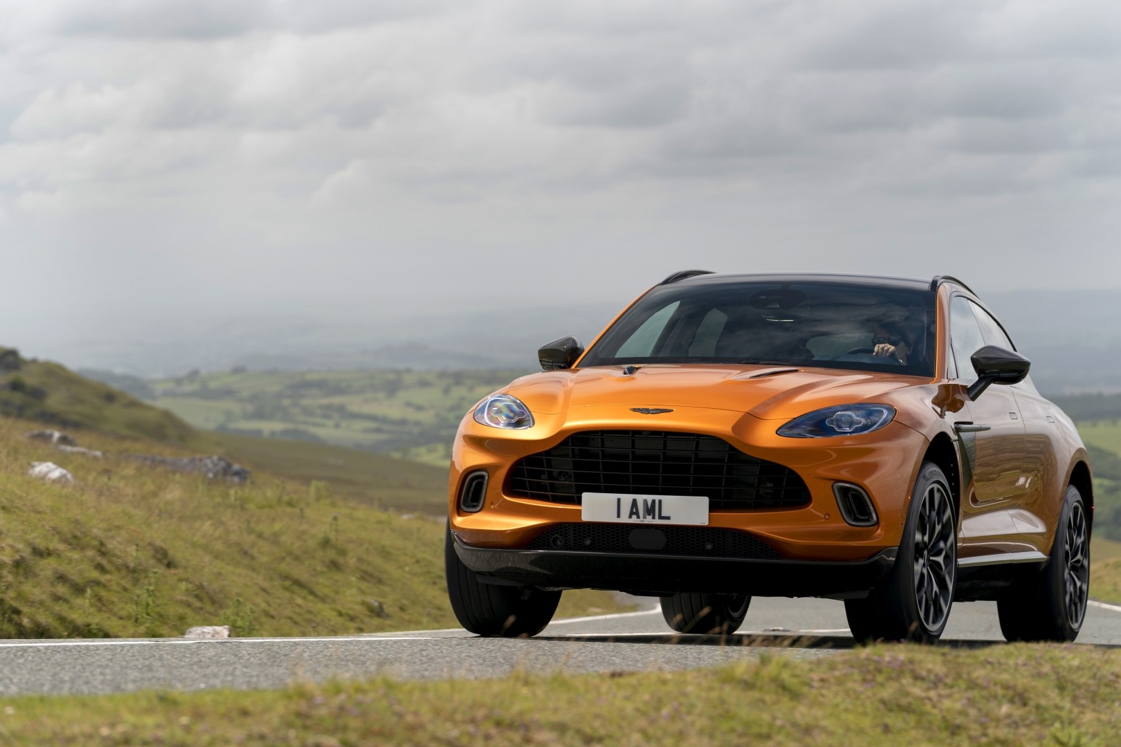 Aston Martin Dbx photo 170