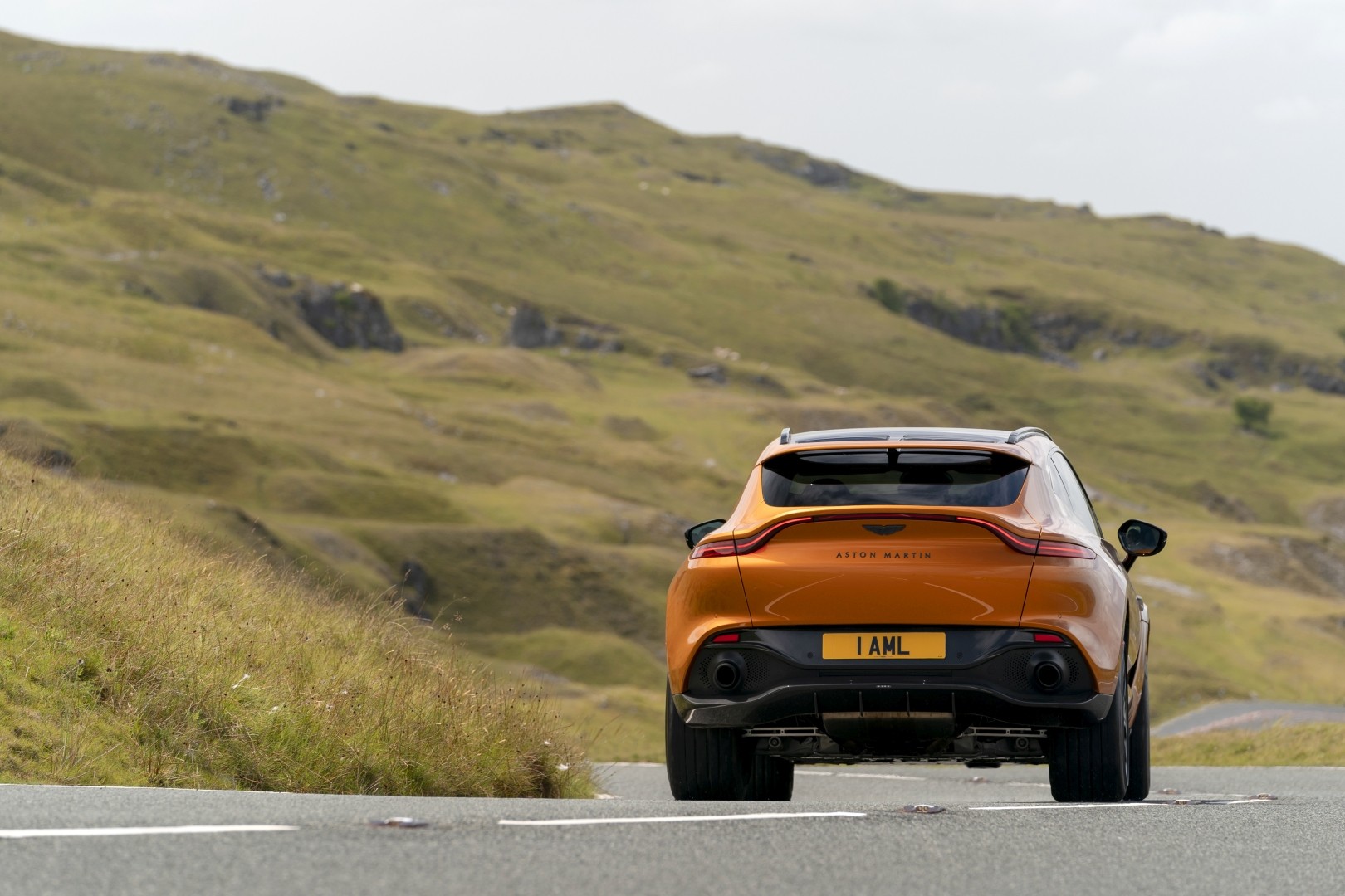 Aston Martin Dbx photo 171