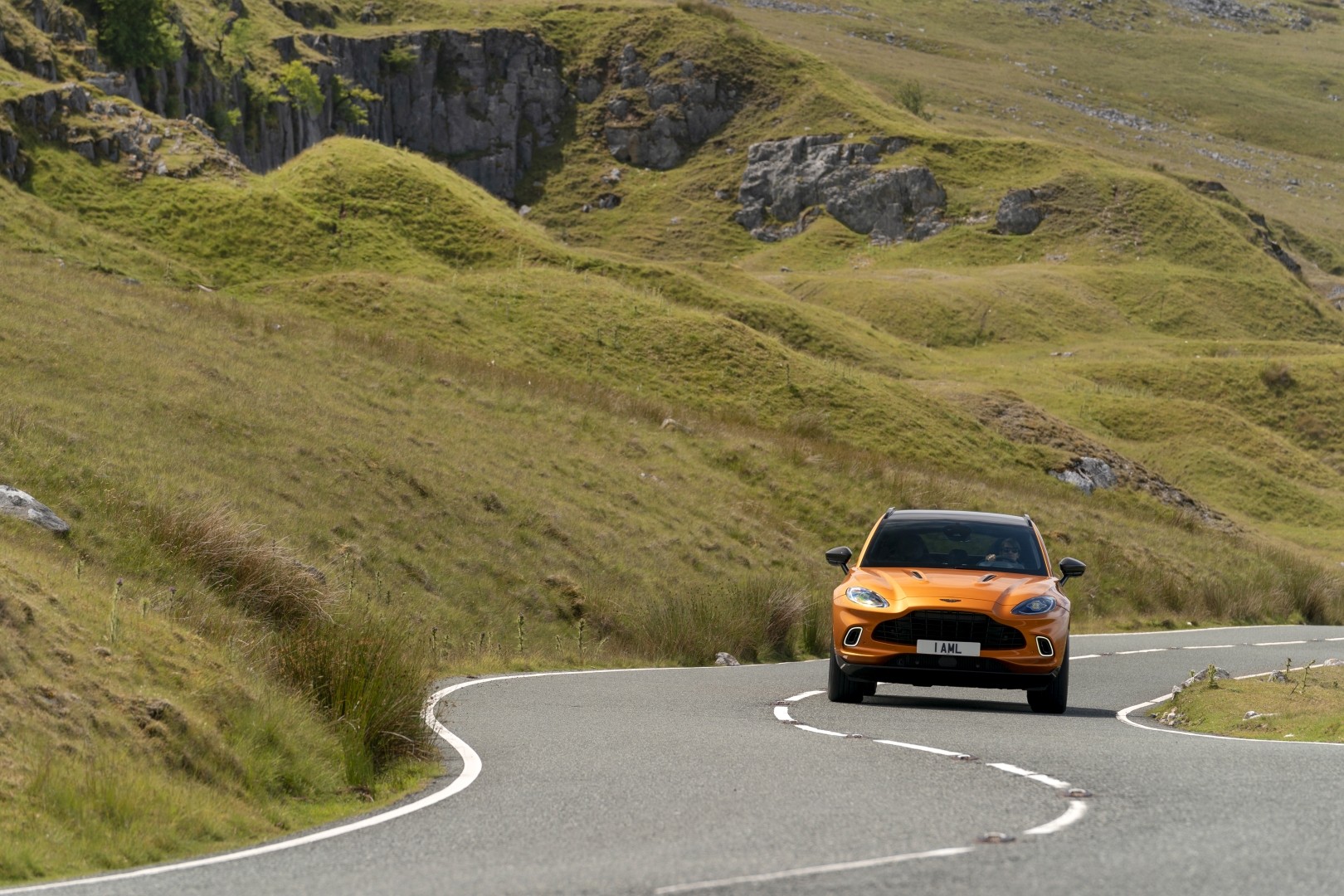 Aston Martin Dbx photo 172