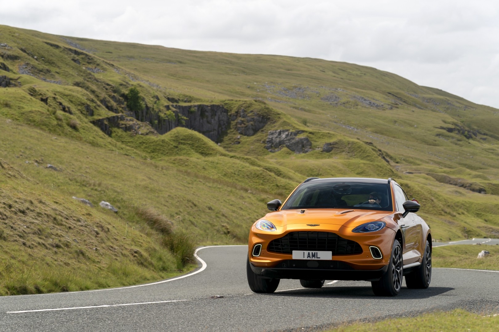 Aston Martin Dbx photo 173