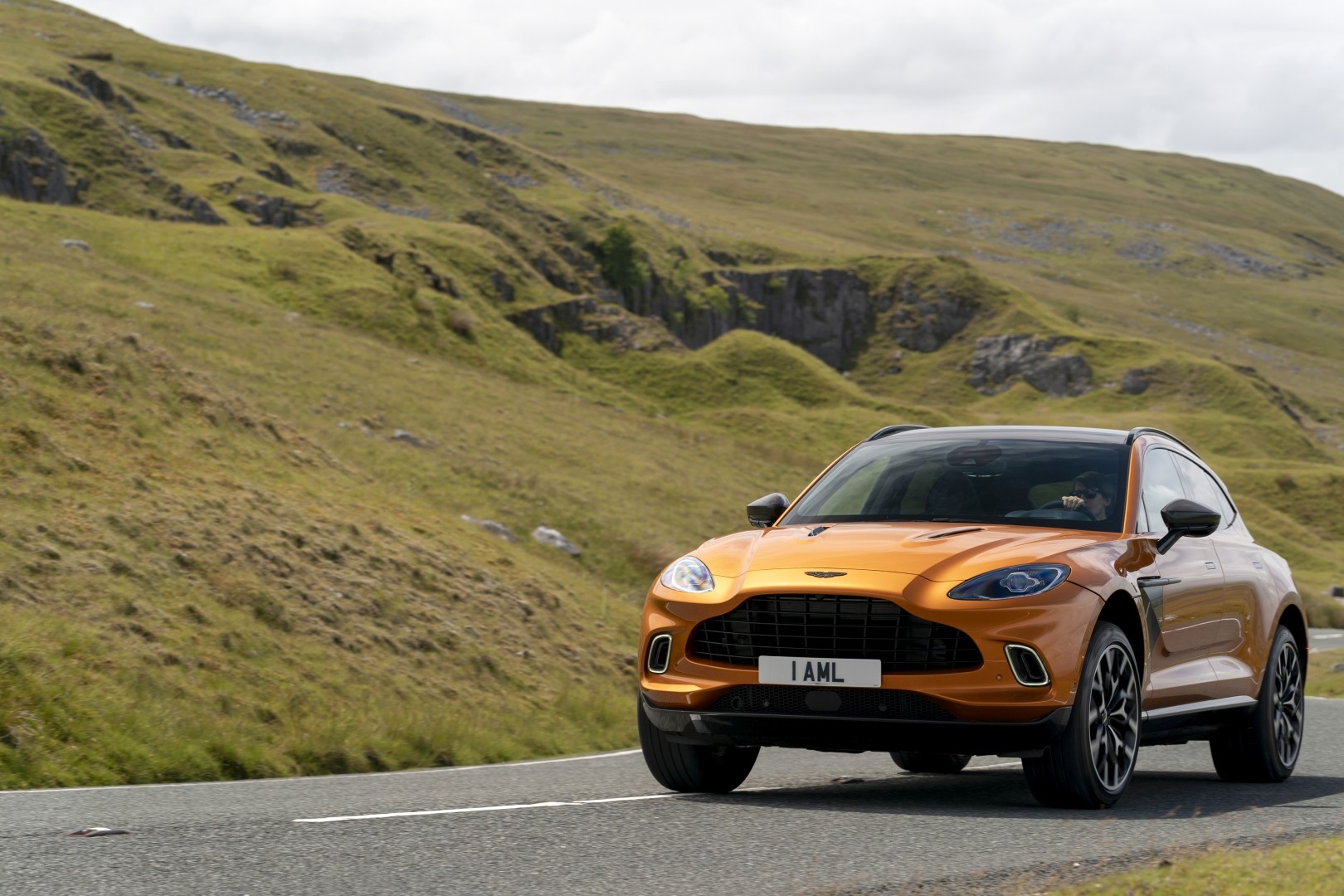 Aston Martin Dbx photo 174