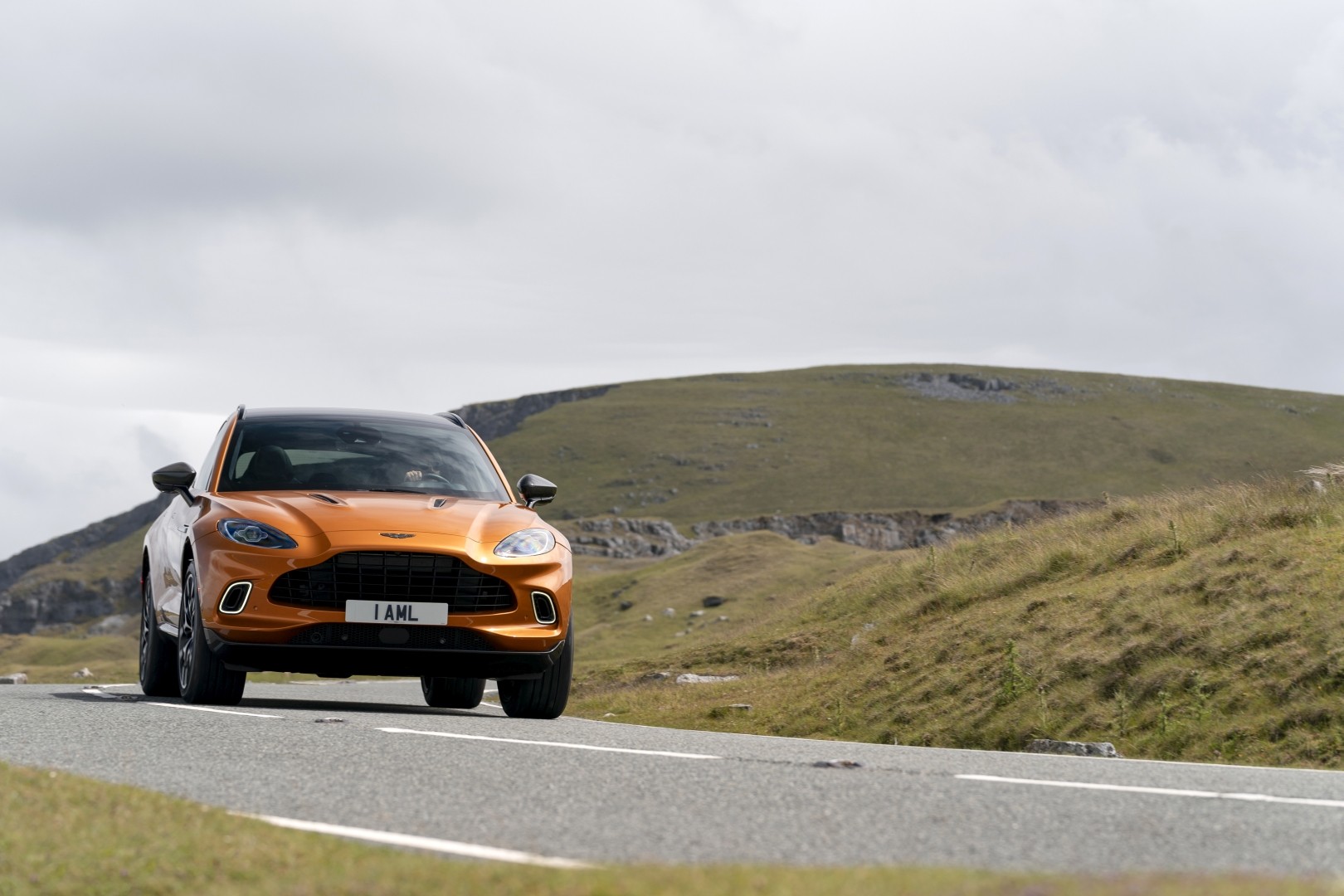 Aston Martin Dbx photo 175