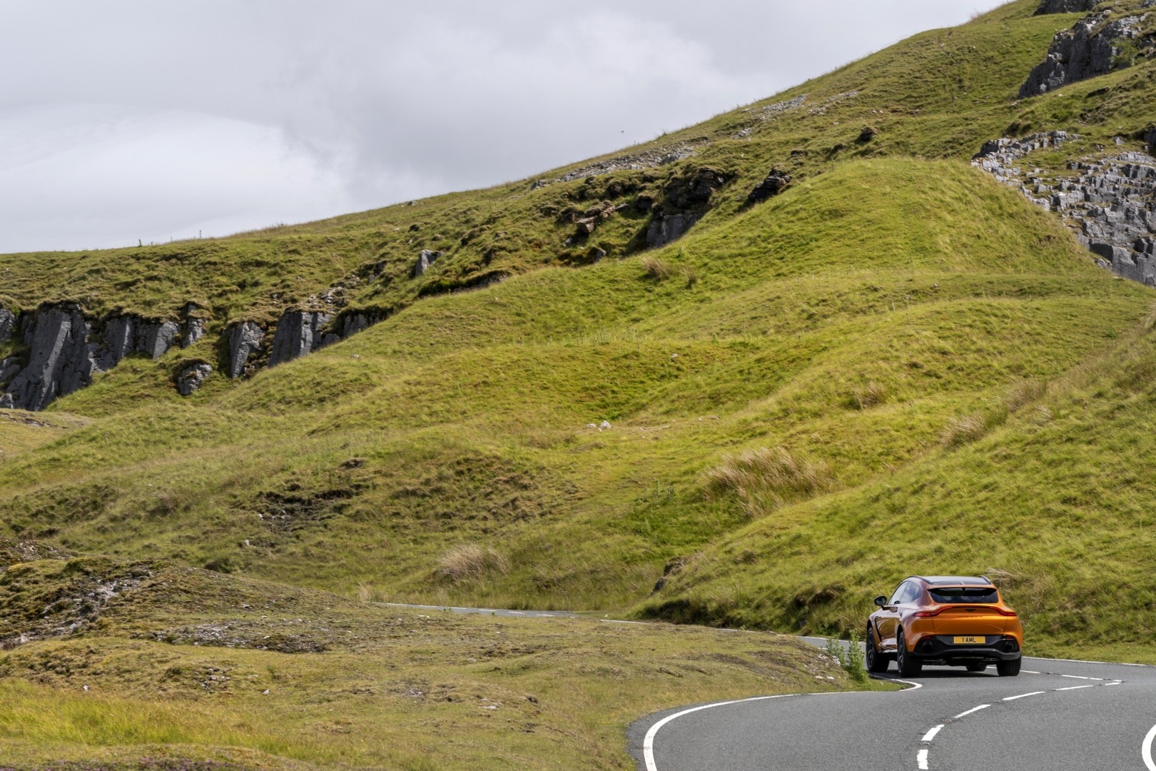 Aston Martin Dbx photo 179