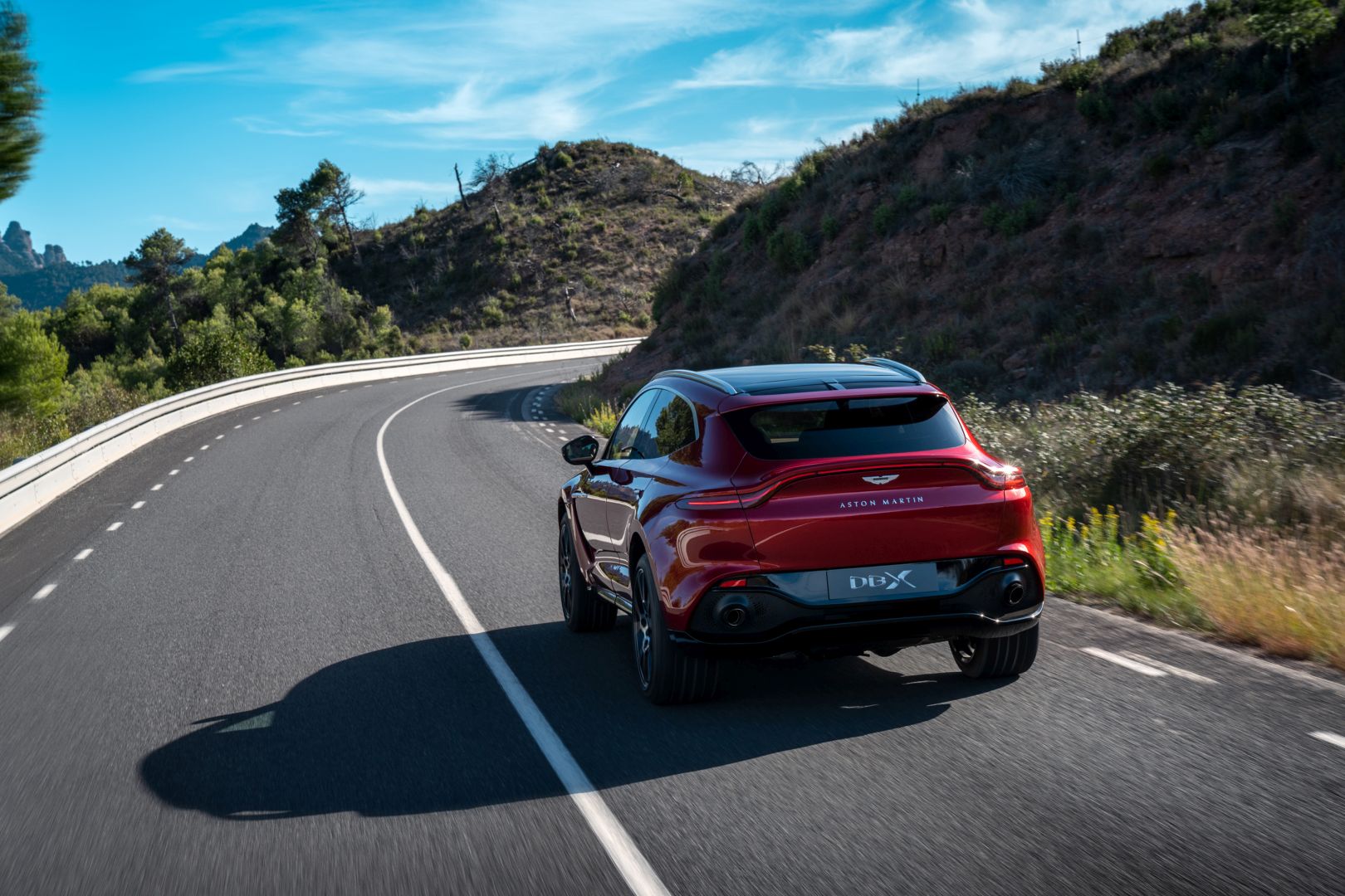 Aston Martin Dbx photo 19