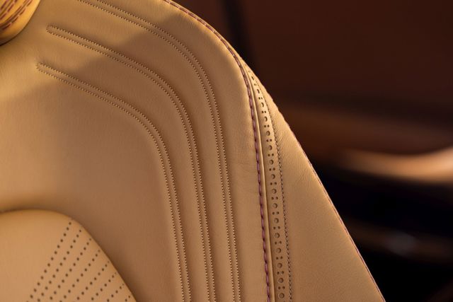 Aston Martin Dbx photo 184