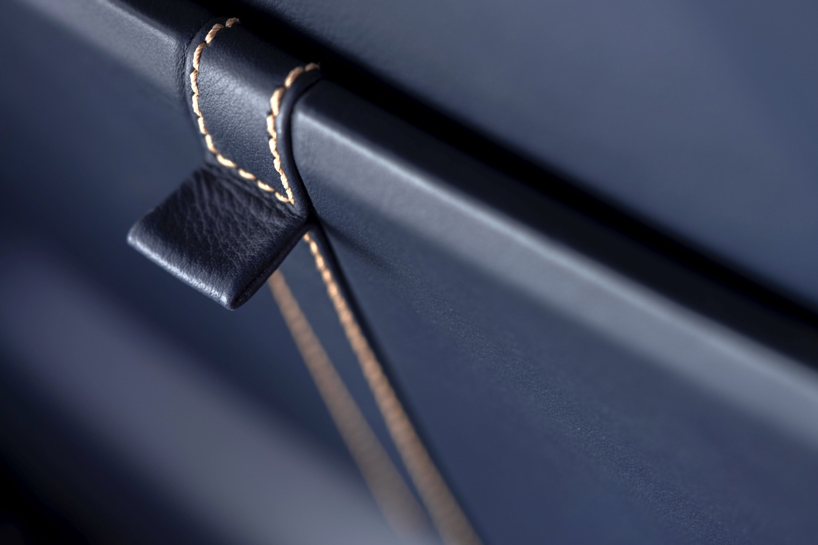 Aston Martin Dbx photo 207