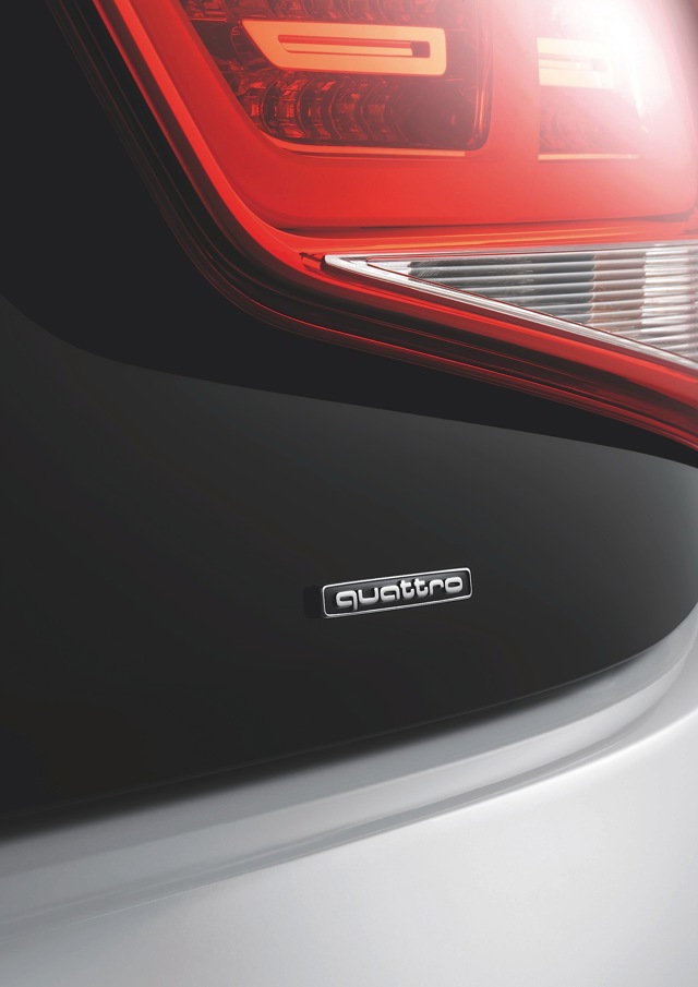 Audi A1 Quattro photo 27
