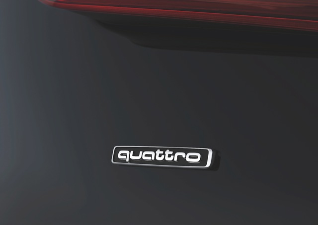 Audi A1 Quattro photo 31