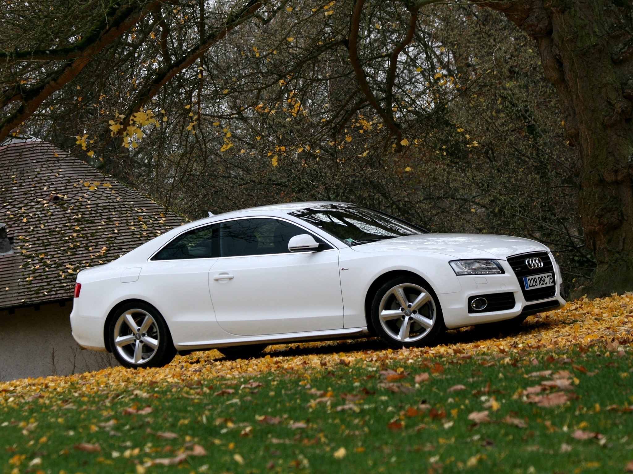 Audi A5 photo 86