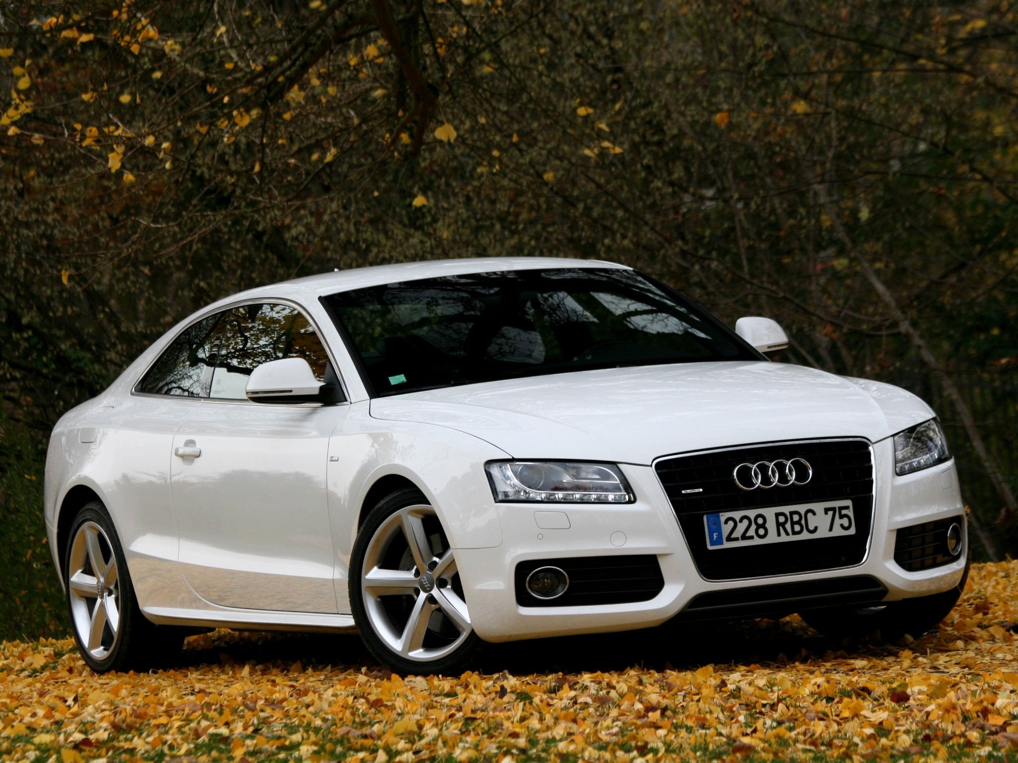 Audi A5 photo 88