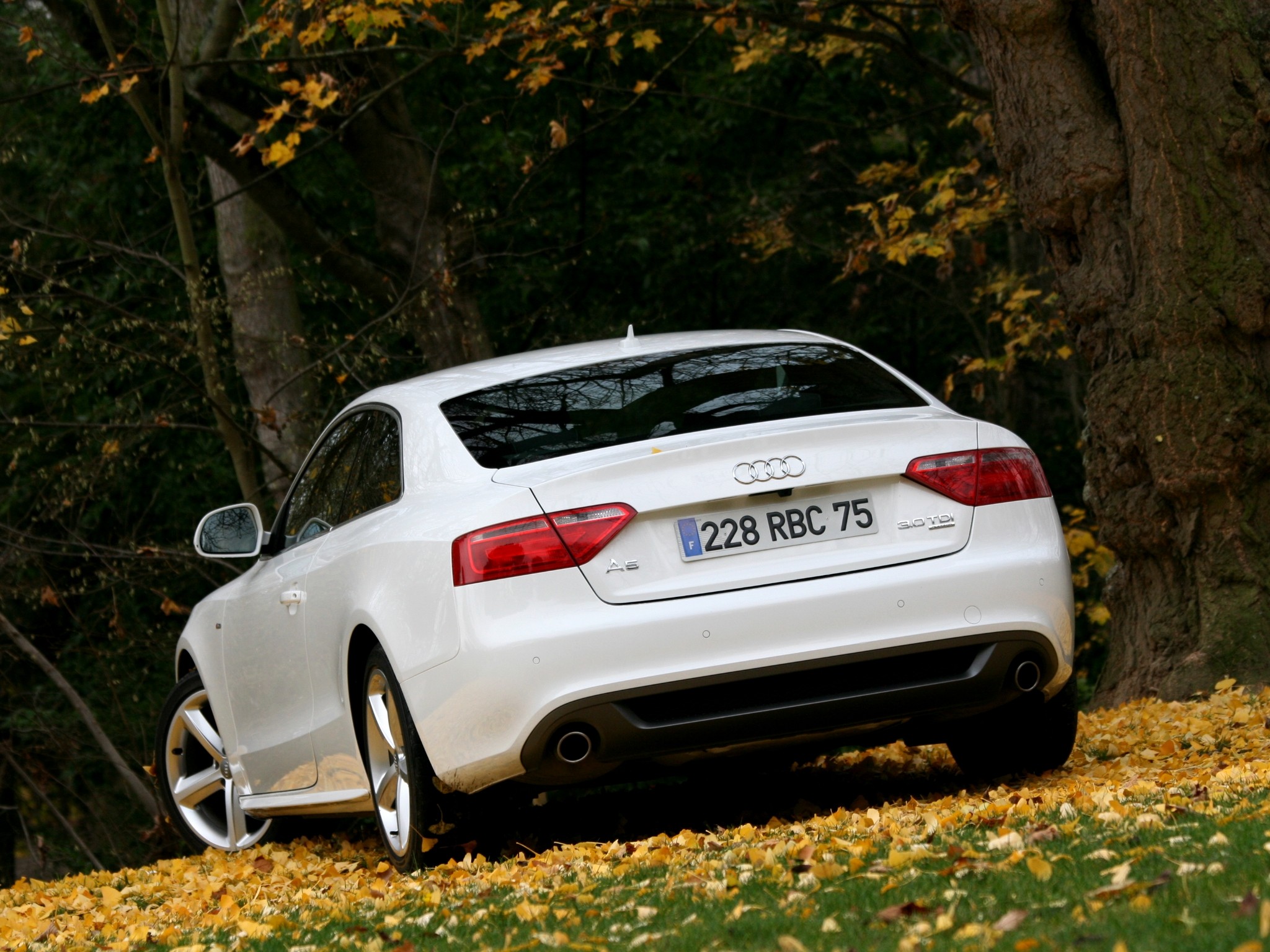Audi A5 photo 85