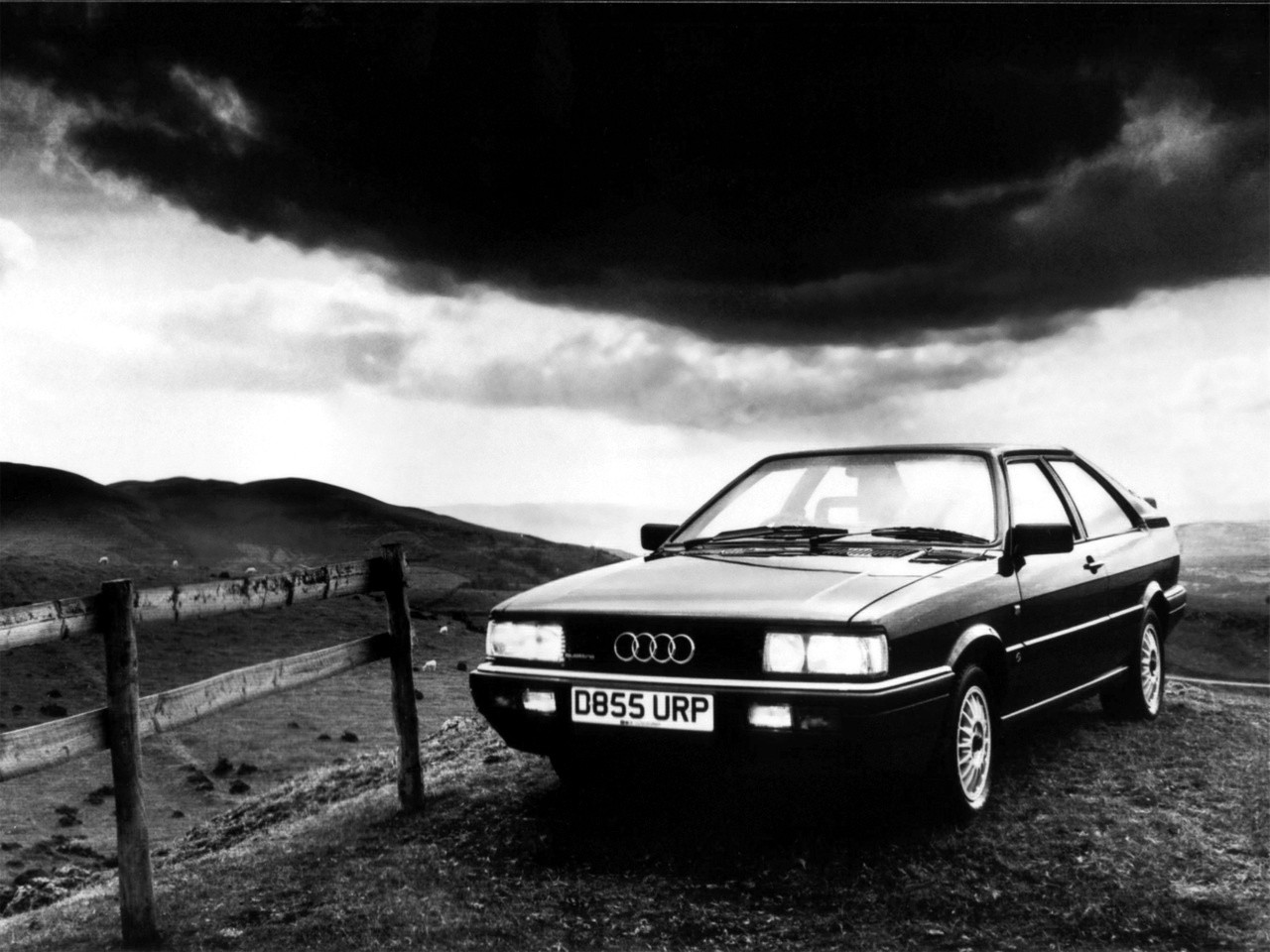 Audi Coupe photo 28