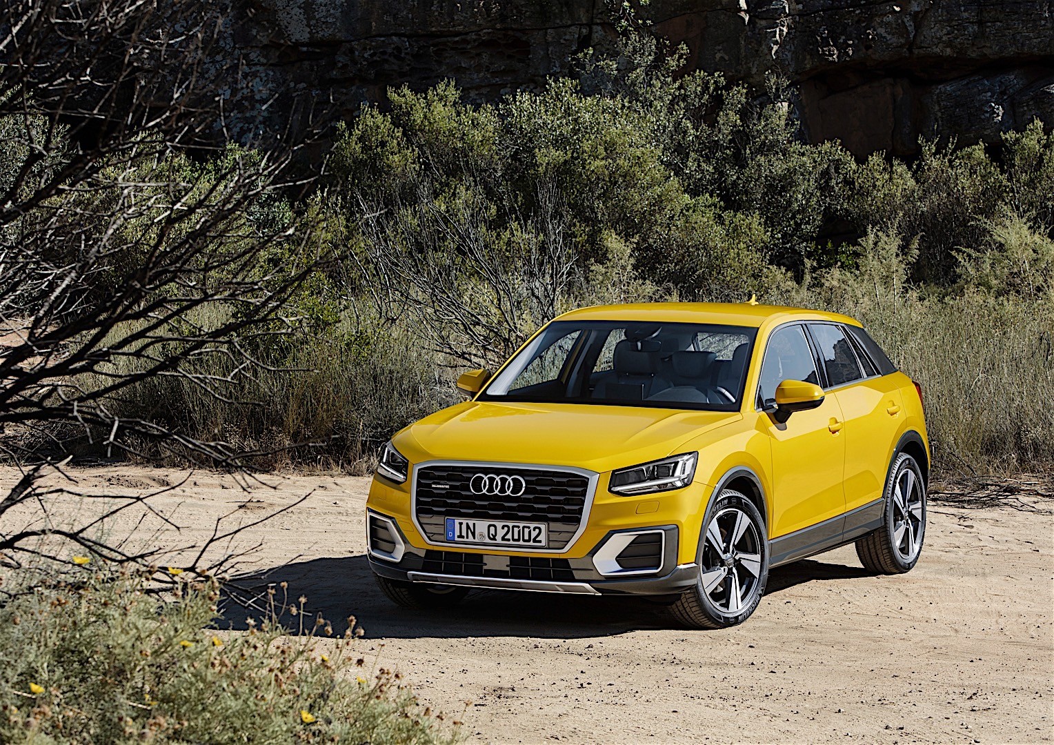 Audi Q2 photo 41