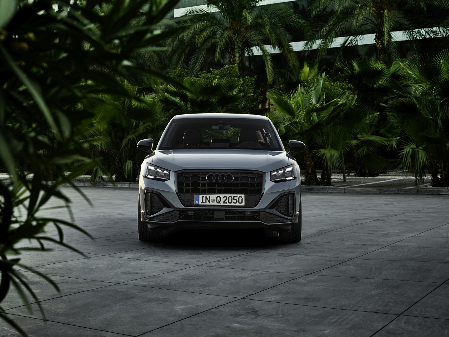 Audi Q2 photo 3