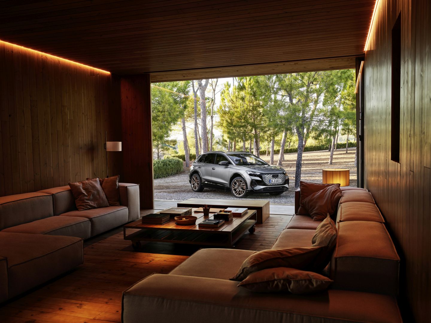 Audi Q4 E-Tron photo 11