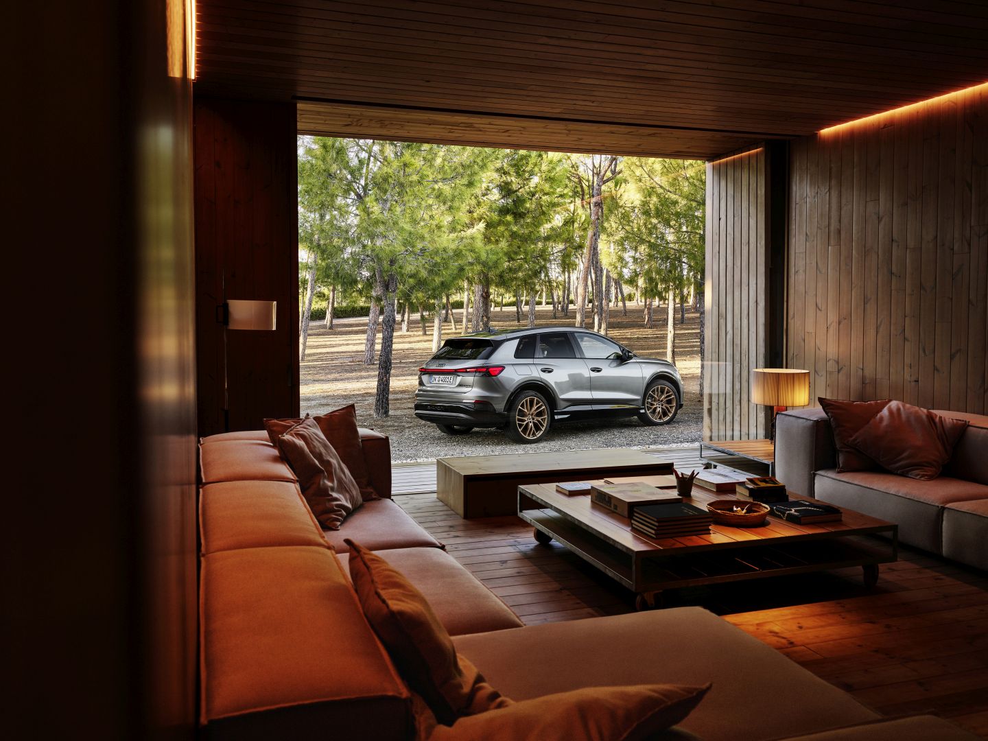 Audi Q4 E-Tron photo 13