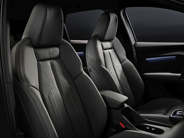 Audi Q4 E-Tron photo 80