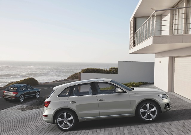 Audi Q5 photo 17
