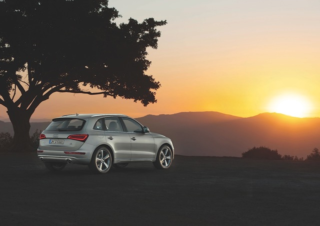 Audi Q5 photo 33