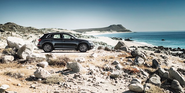 Audi Q5 photo 30