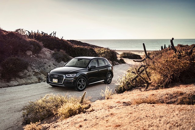 Audi Q5 photo 31
