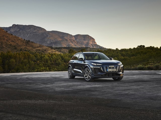 Audi Q6 photo 32