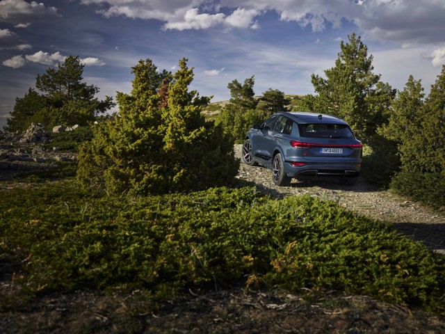 Audi Q6 photo 37