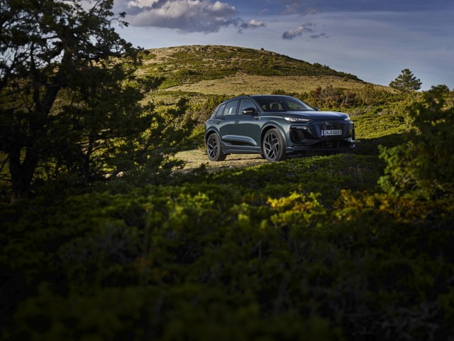 Audi Q6 photo 38