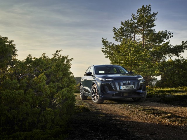 Audi Q6 photo 39