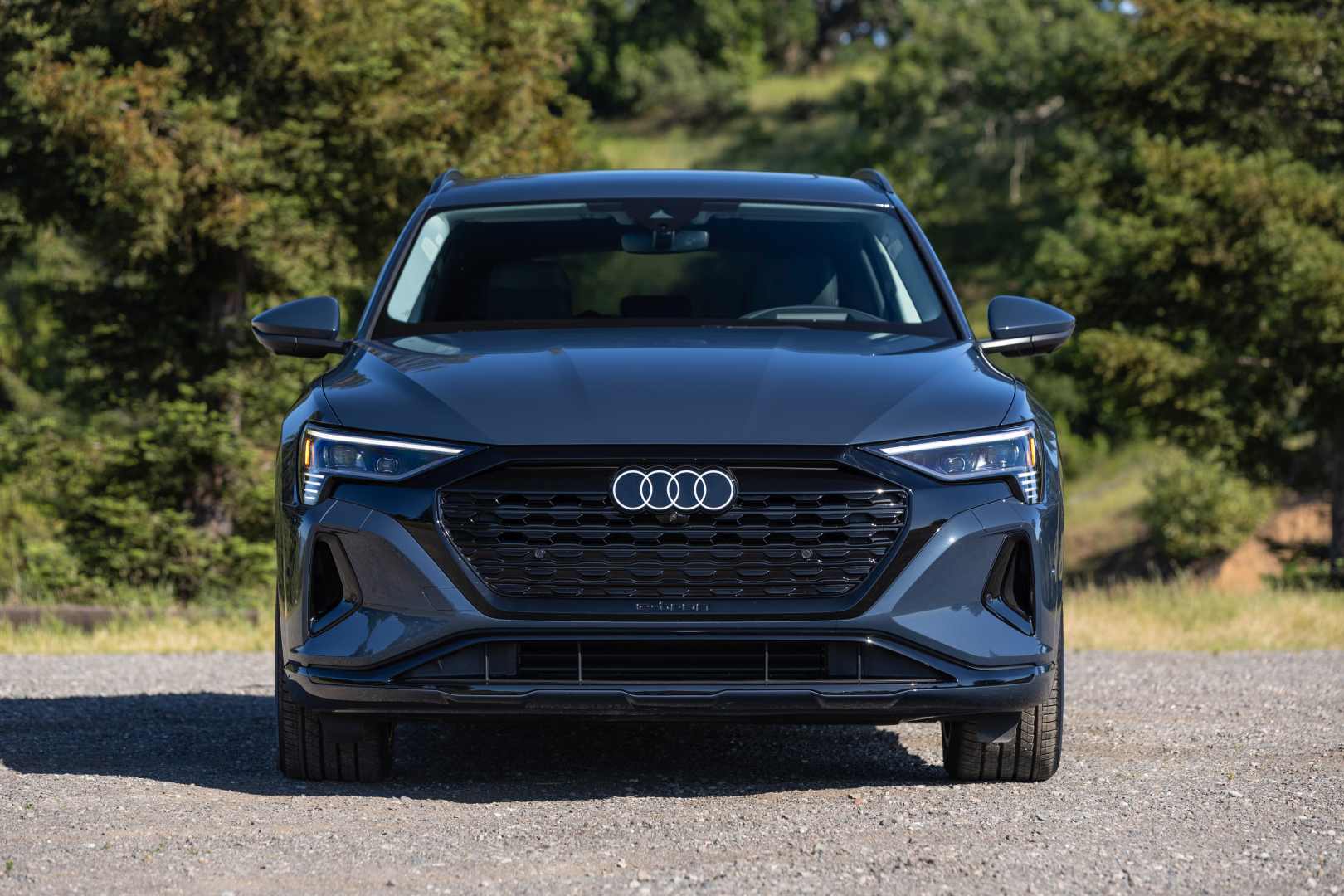 Audi Q8 E-Tron photo 78